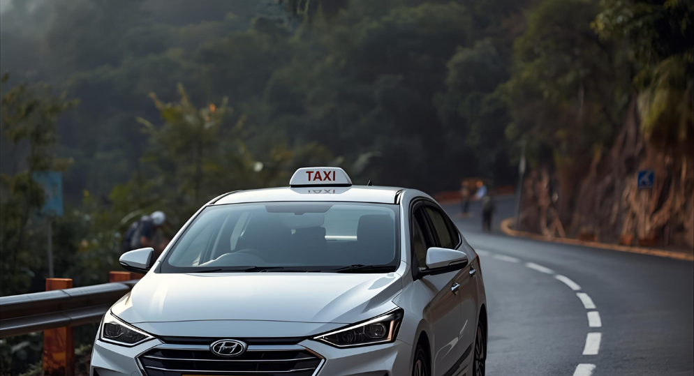 Sabarimala Pilgrimage