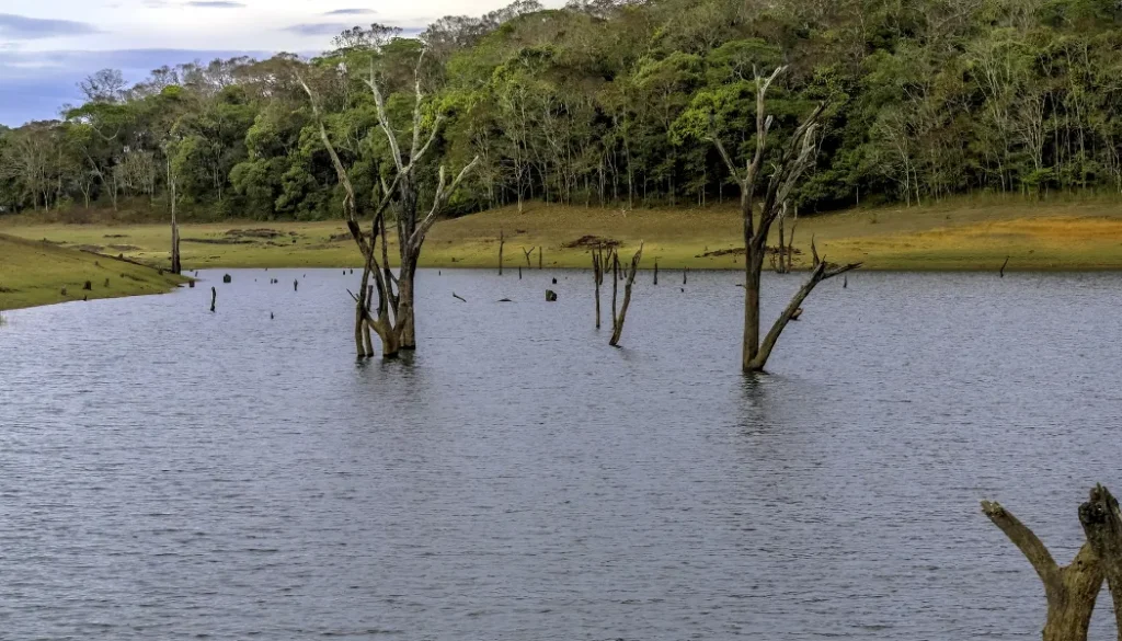 Call Taxi Services in Kottayam